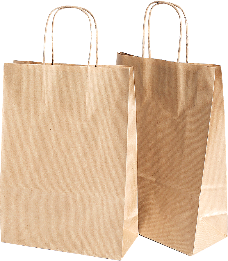 Two kraft paper bags with twisted rope handles