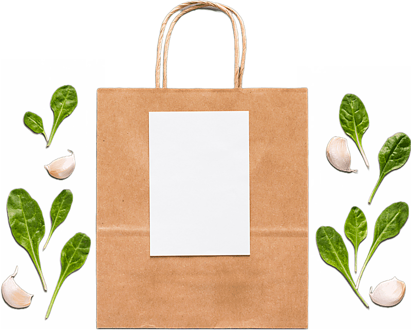 Kraft bag with a blank print panel